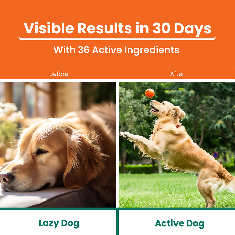 Lickicious Chicken Flavour Multivitamin Syrup for Dogs & Cats