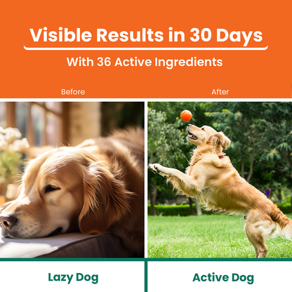 Lickicious Chicken Flavour Multivitamin Syrup for Dogs & Cats