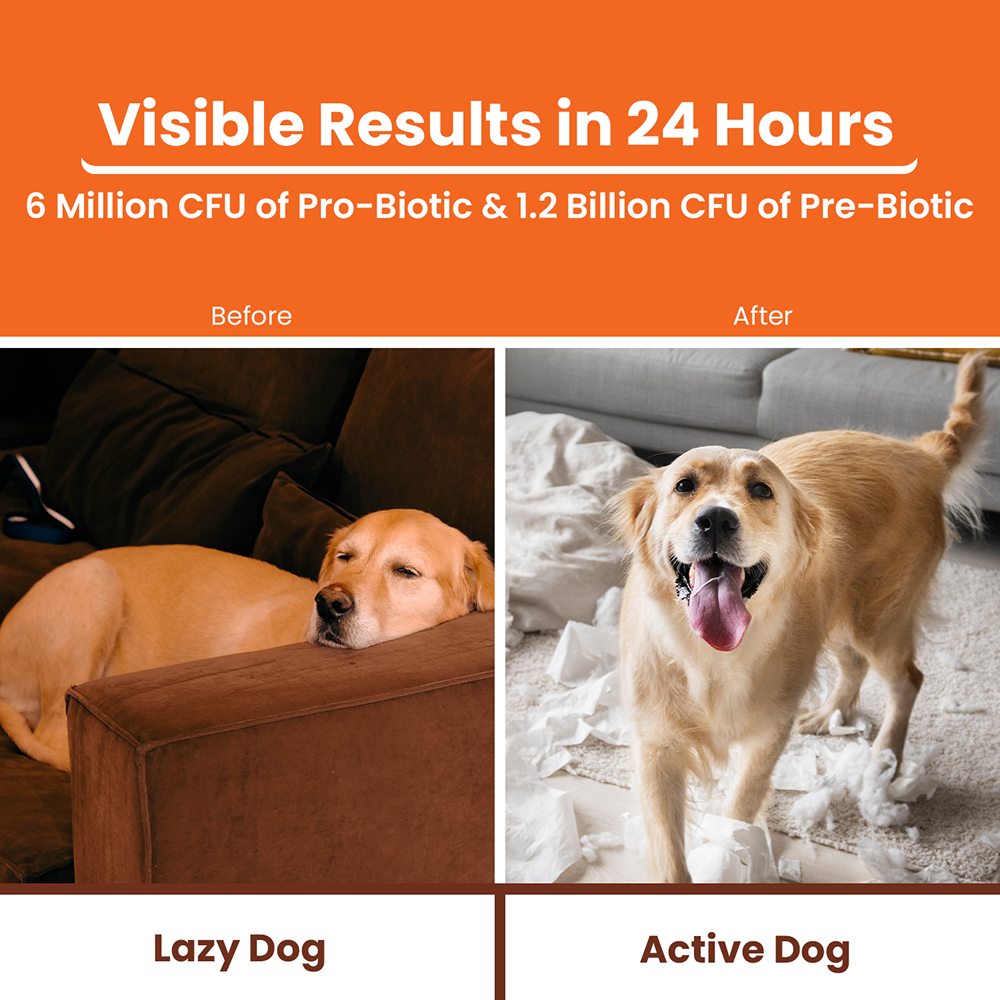 Lickicious Pre and Probiotics Sachets,Gut Health & Digestion for Dogs & Cats