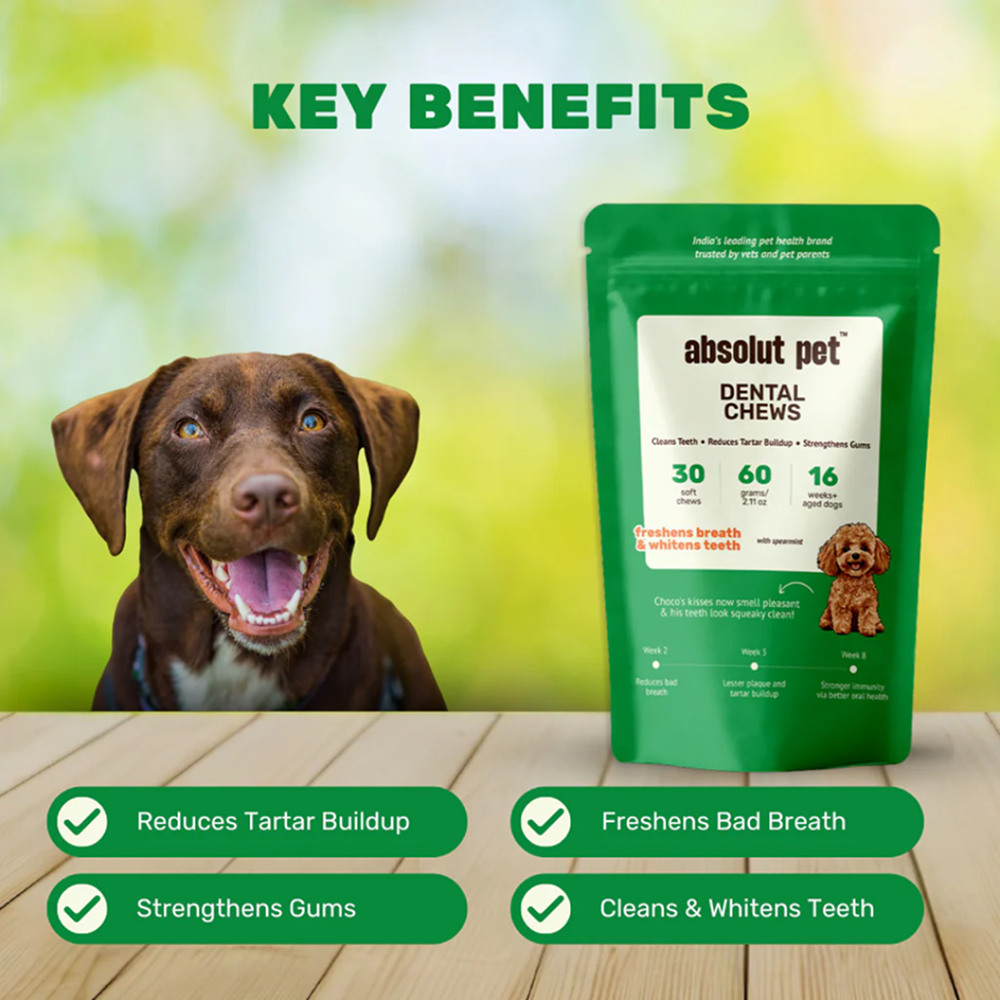 Absolut Pet Oral Care Plaque & Tartar Remover Chews Dog Supplement