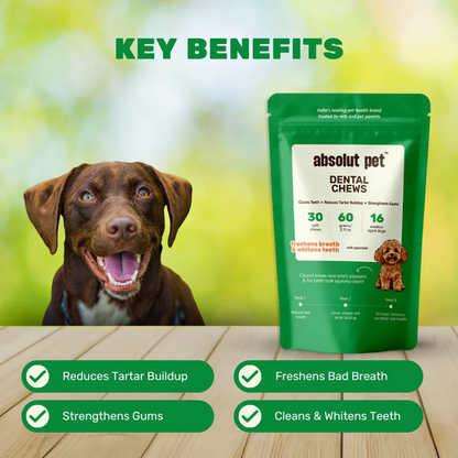 Absolut Pet Oral Care Plaque & Tartar Remover Chews Dog Supplement