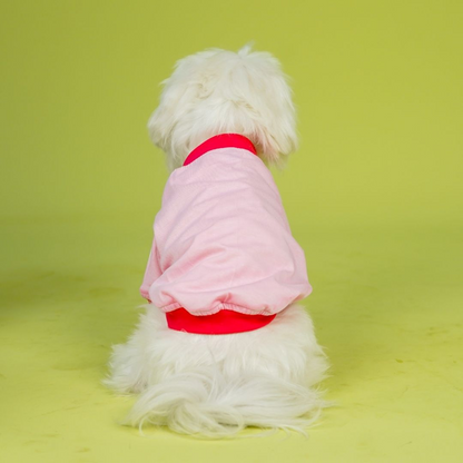 Pets Way Dive In Stripes Tshirt for Dogs (Blush)
