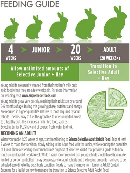 Science Selective Junior Rabbit Food