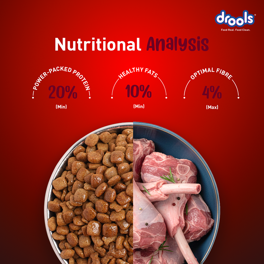 Drools Lamb and Rice Adult Dog Dry Food