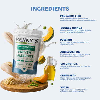 Benny's Bowl Hypoallergenic Diet to Prevent Allergies Dog Wet Food