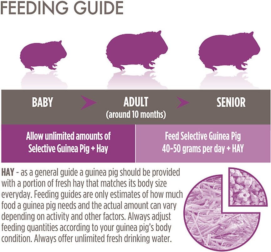 Science Selective Guinea Pig Food