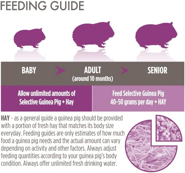 Science Selective Junior Guinea Pig Food