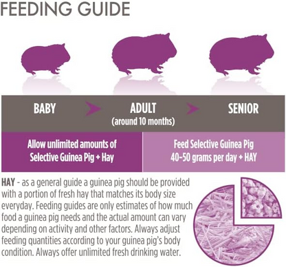 Science Selective Junior Guinea Pig Food