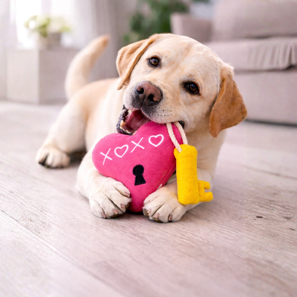 Pawgypets Heart Lock Key Plush with Rope Toy for Dogs (Hot Pink & Yellow)