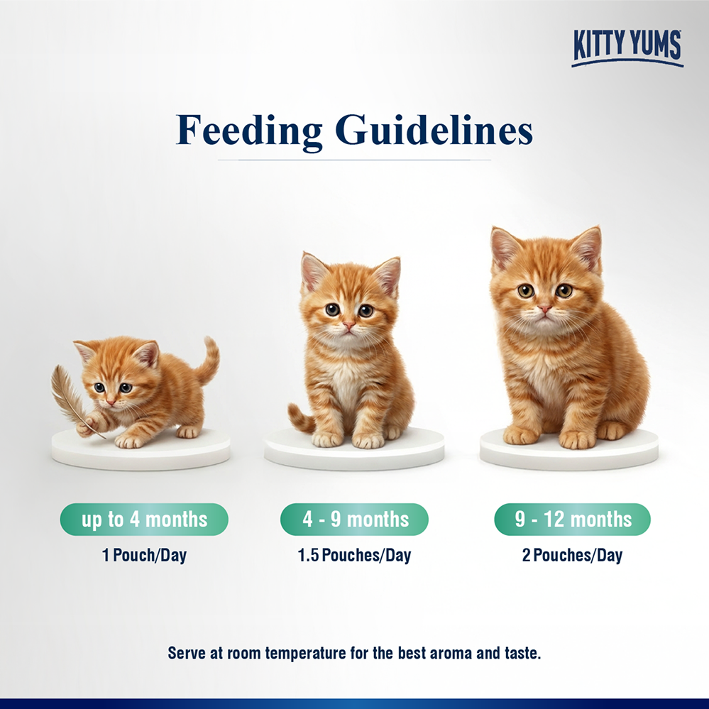Kitty Yum Tuna Mousse Kitten Cat Wet Food