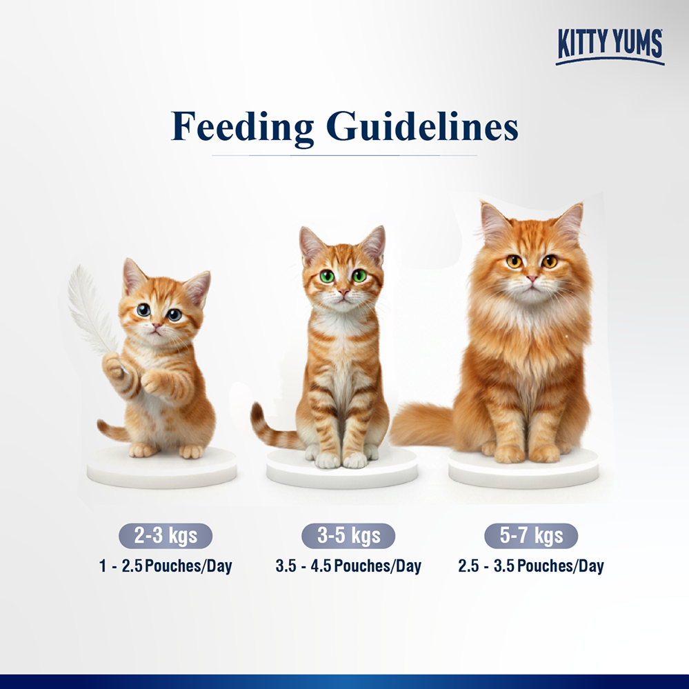 Kitty Yum Chicken Mousse Adult Cat Wet Food