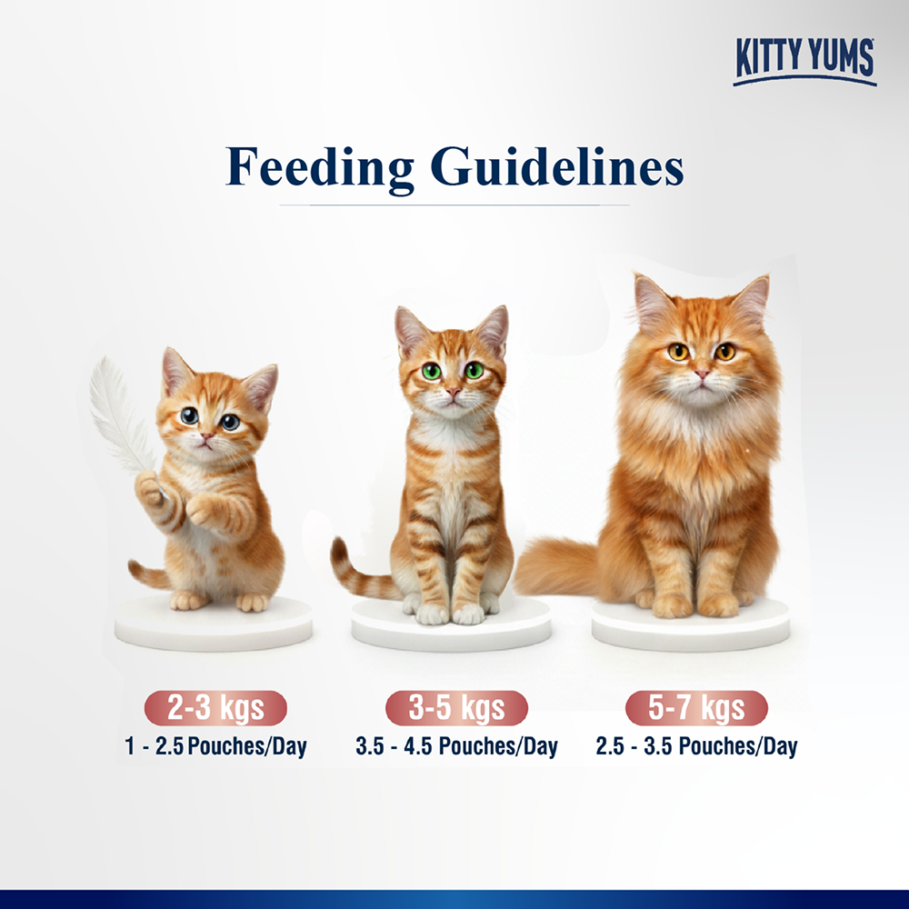 Kitty Yum Salmon Mousse Adult Cat Wet Food