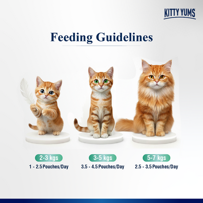 Kitty Yum Tuna Mousse Adult Cat Wet Food