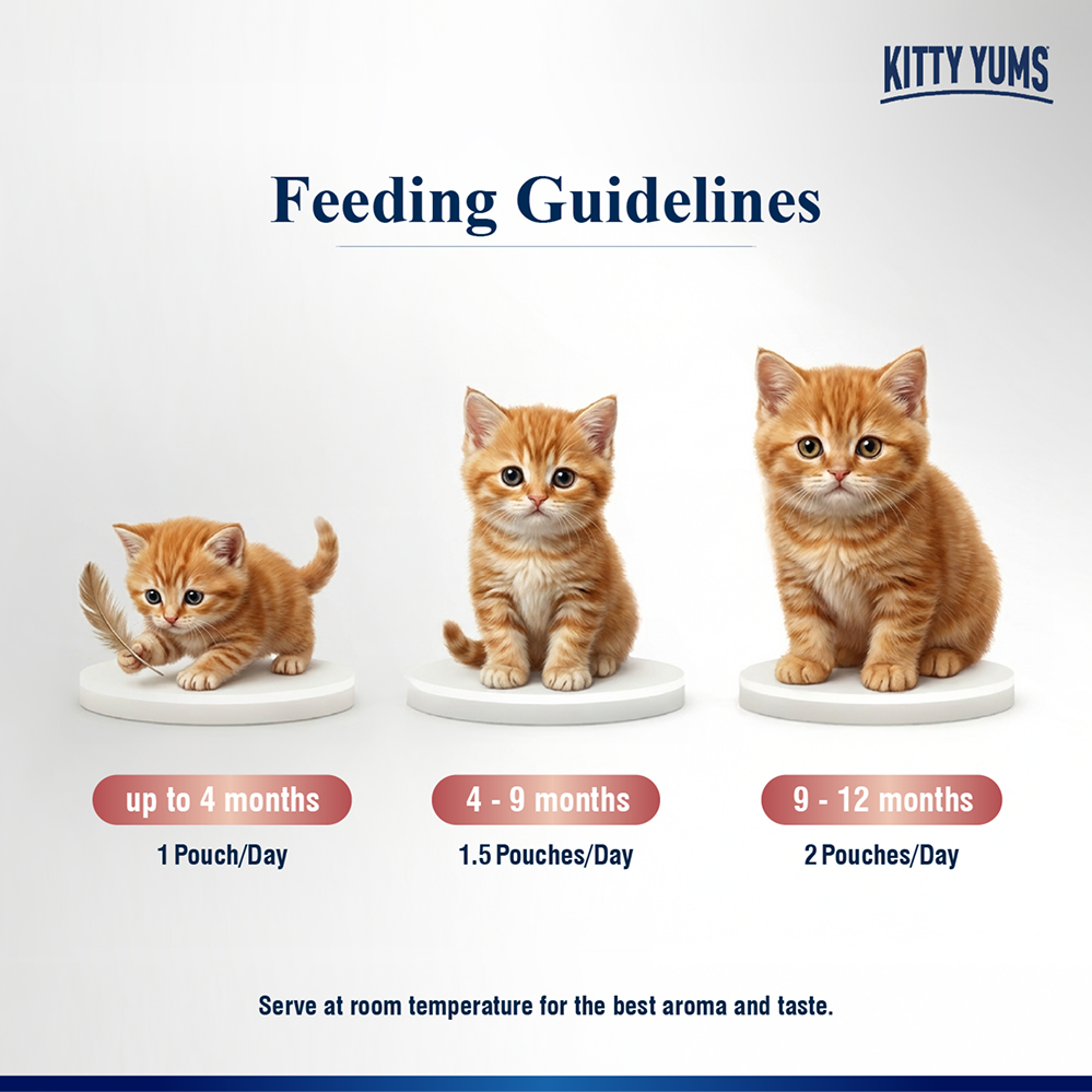 Kitty Yum Salmon Mousse Kitten Cat Wet Food