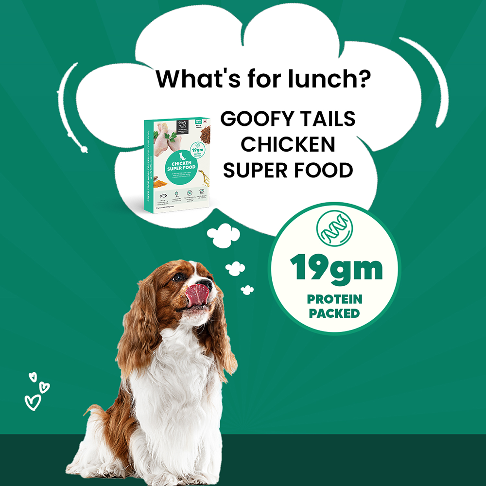 Goofy Tails Chicken Super Food Topper for Dogs & Puppies
