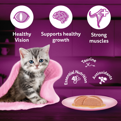 Whiskas Adult Cat Food Combo |Mackerel Dry & Chicken in Gravy Wet