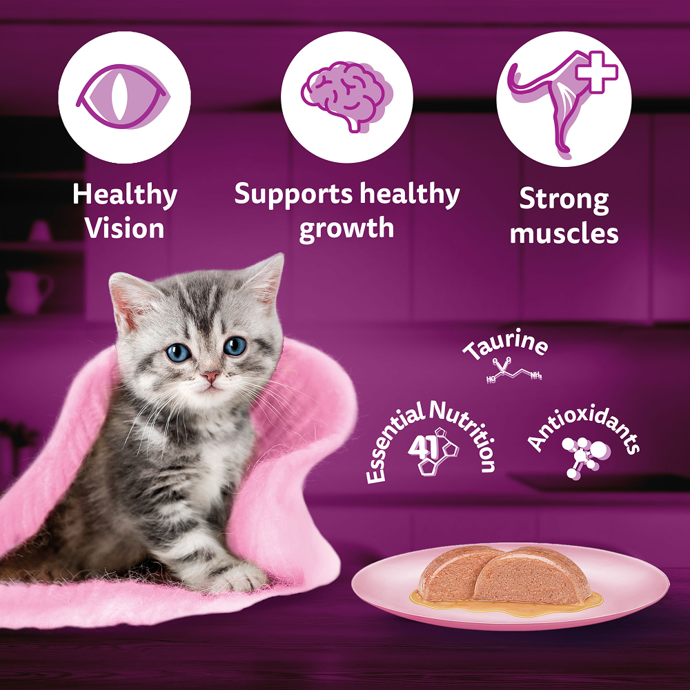 Whiskas Kitten Wet Food Value Combo |Chicken, Tuna & Mackerel