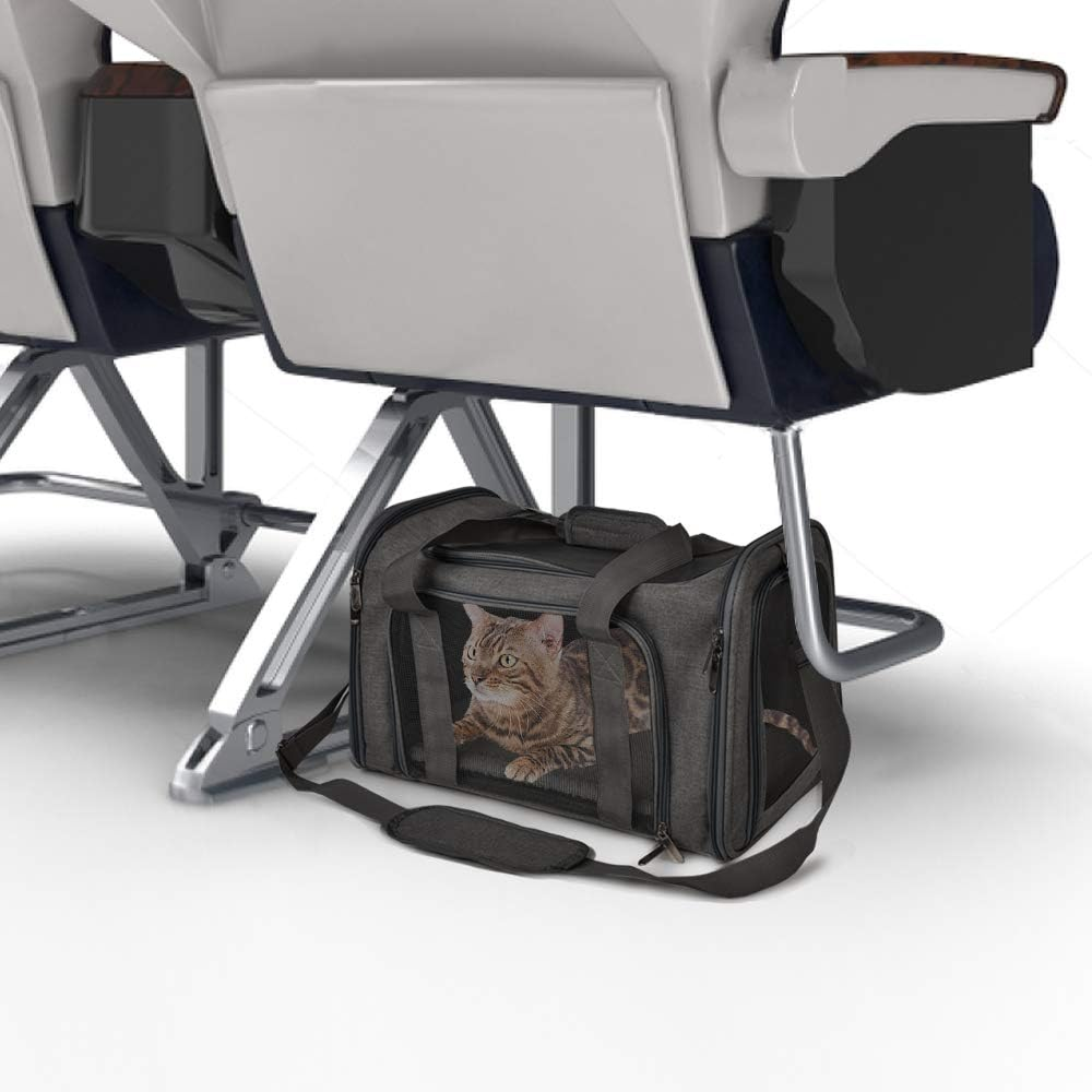 KUTKUT Soft Sided Airline Approved Foldable Travel Carrier for Small Dogs & Cat (Black)
