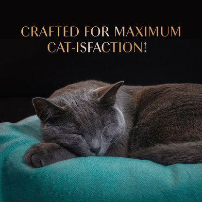 Sheba Tuna Flavor and Tuna & Prawn Maguro Selection Melty Premium Cat Treats