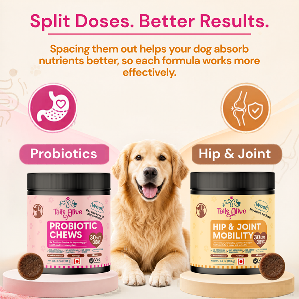 TailsAlive Hip & Joint, Probiotic Chicken Chews Comfort & Mobility Combo for Senior Dogs