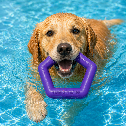 Talking Dog Club Sturdy Hexagon Floater Chew Toy for Dogs (Purple)