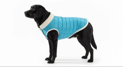 Woofiezz Warm & Comfortable Winter Jackets for Dogs and Cats (Turquoise)
