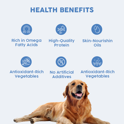 Benny's Bowl Clinical Nutrition for Gastrointestinal Issues Dog Wet Food