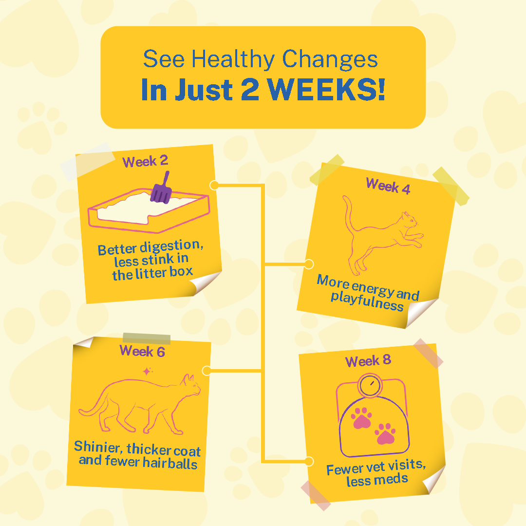 Smylo Kitten Variety Combo, Tuna & Chicken, Fresh & No-Preservative Wet Cat Food