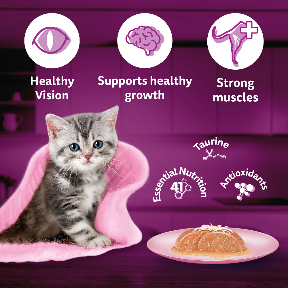 Whiskas Kitten Tasty Mix Wet Food Combo |Chicken, Tuna, Seafood & Salmon