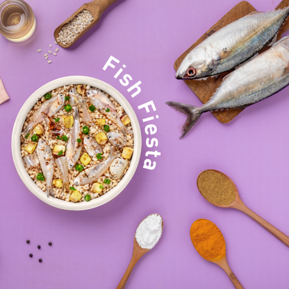 Homiee & Ginger Power Bowl Surf & Turf, Fish Fiesta and Chicken & Barley Fresh Food for Dogs Combo