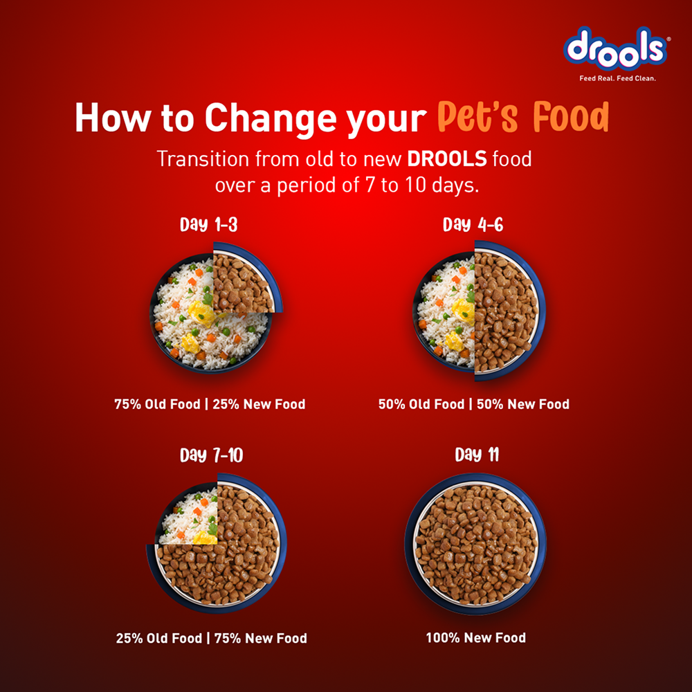 Drools Turkey and Pumpkin Adult Dog Dry Food