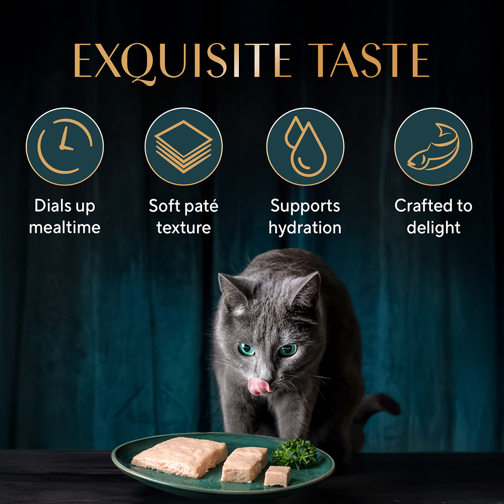 Sheba Maguro Pate Rich Premium Adult Fine Cat Wet Food