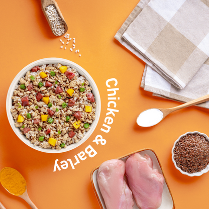 Homiee & Ginger Power Bowl Surf & Turf, Fish Fiesta and Chicken & Barley Fresh Food for Dogs Combo