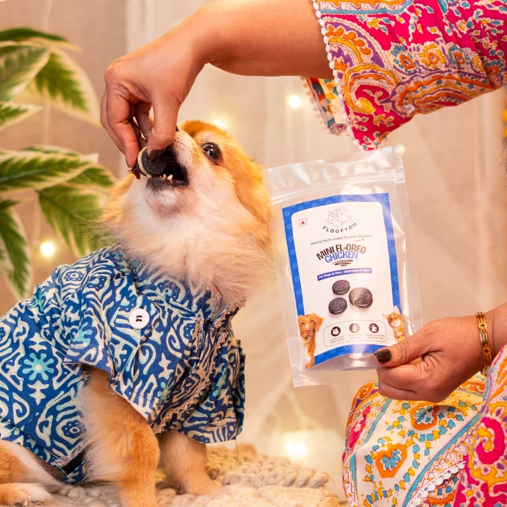 Floofyou Mini Floofio Chicken Oven Baked Cookie Dog Treats