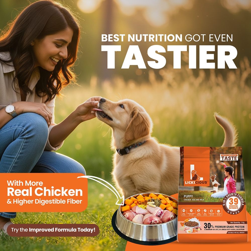 Lickicious Chicken, Egg and Milk Flavoured Puppy Dog Dry Food