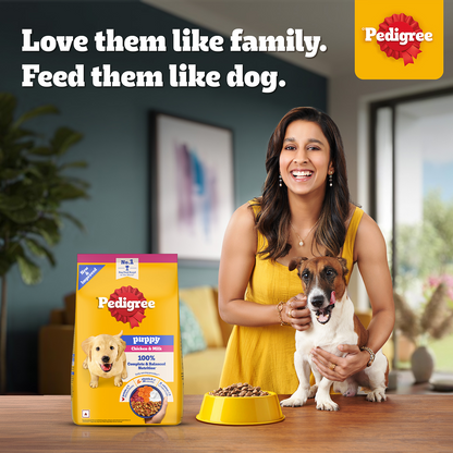 Pedigree Chicken and Milk Puppy Dog Dry Food
