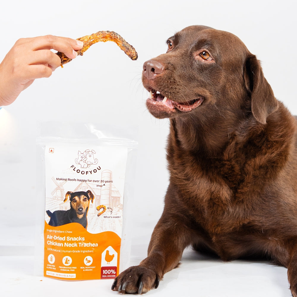 Floofyou Air Dried Chicken Neck Crunchy Dental Chew Dog Treats