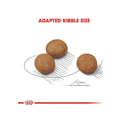 Royal Canin Maxi Puppy Dog Dry Food