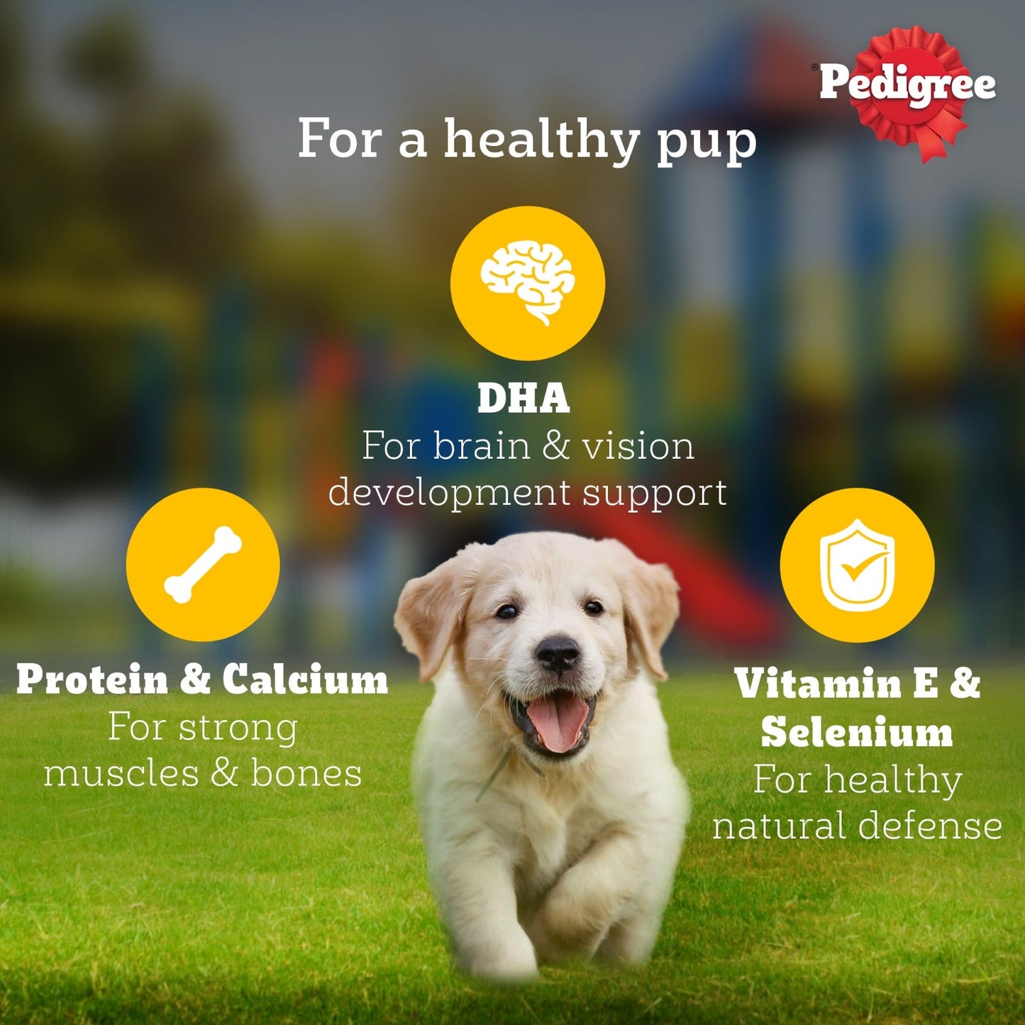 Pedigree Puppy Dog Food Combo |Meat & Milk Dry & Chicken & Liver Wet
