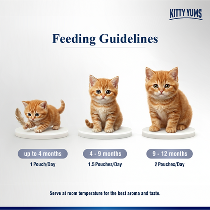 Kitty Yum Chicken Mousse Kitten Cat Wet Food