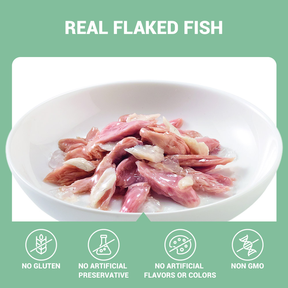 Schesir Tuna Whole Meat with Hake in Jelly Cat Wet Food
