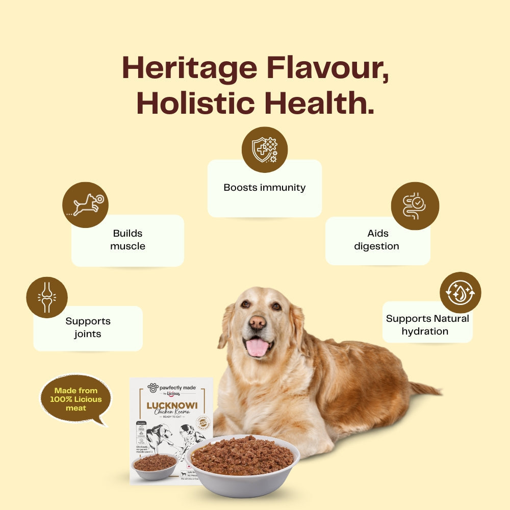 Pawfectly Made By Licious Lucknowi Chicken Keema Gravy Adult Dog Wet Food