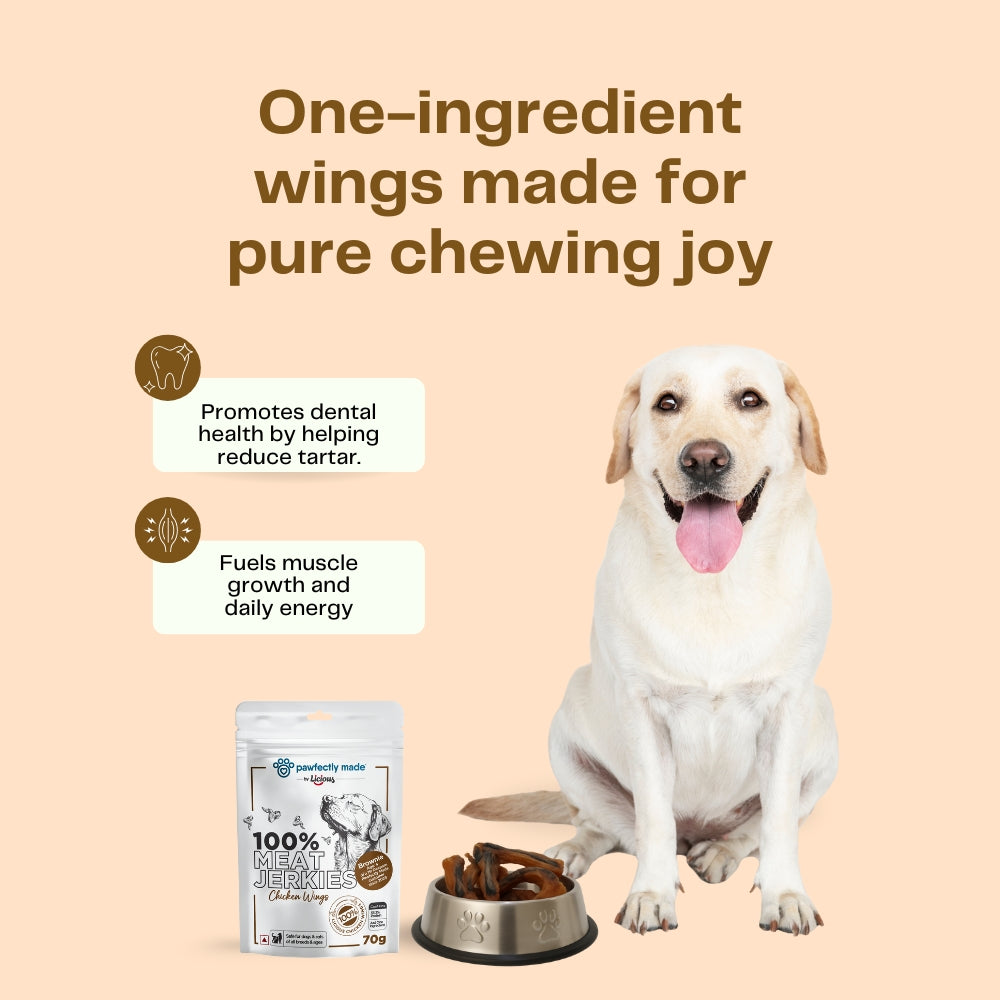 Pawfectly Made By Licious Dehydrated Chicken Wings Jerky Dog Treat