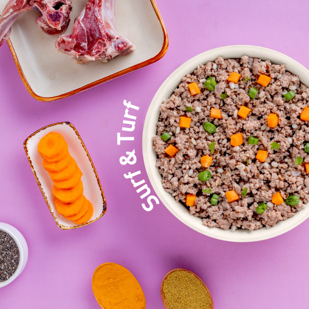 Homiee & Ginger Power Bowl Surf & Turf, Fish Fiesta and Chicken & Barley Fresh Food for Dogs Combo
