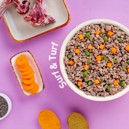 Homiee & Ginger Power Bowl Surf & Turf, Fish Fiesta and Chicken & Barley Fresh Food for Dogs Combo