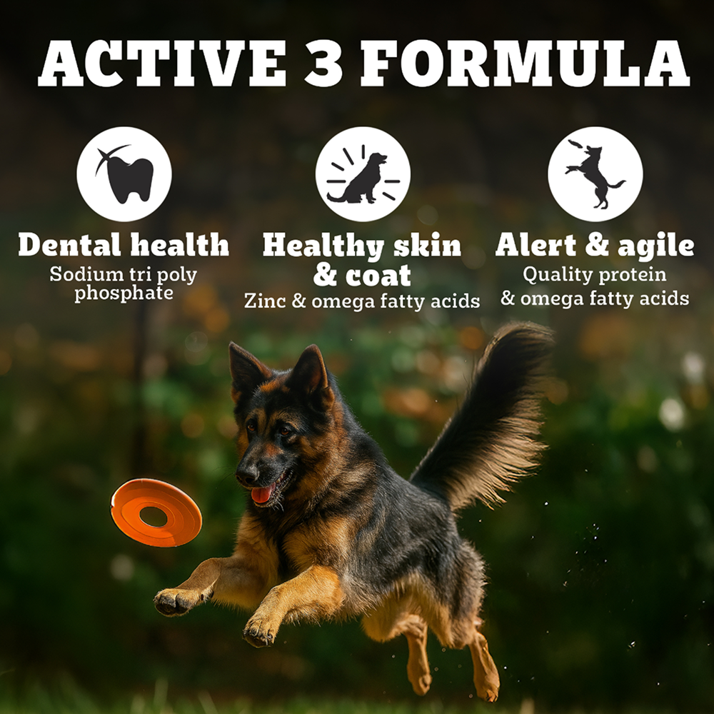 Pedigree PRO Expert Nutrition Active Adult (18 Months Onwards) Large Breed Dog Dry Food