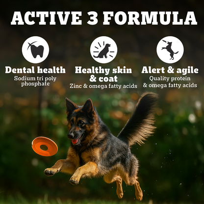 Pedigree PRO Expert Nutrition Active Adult (18 Months Onwards) Large Breed Dog Dry Food