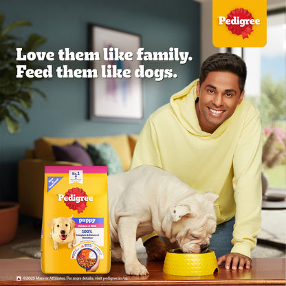 Pedigree Chicken and Milk Dry Food & Petkit YumShare Solo Automatic 2.4G WiFi Food Dispenser with HD Camera Dog Puppy Combo