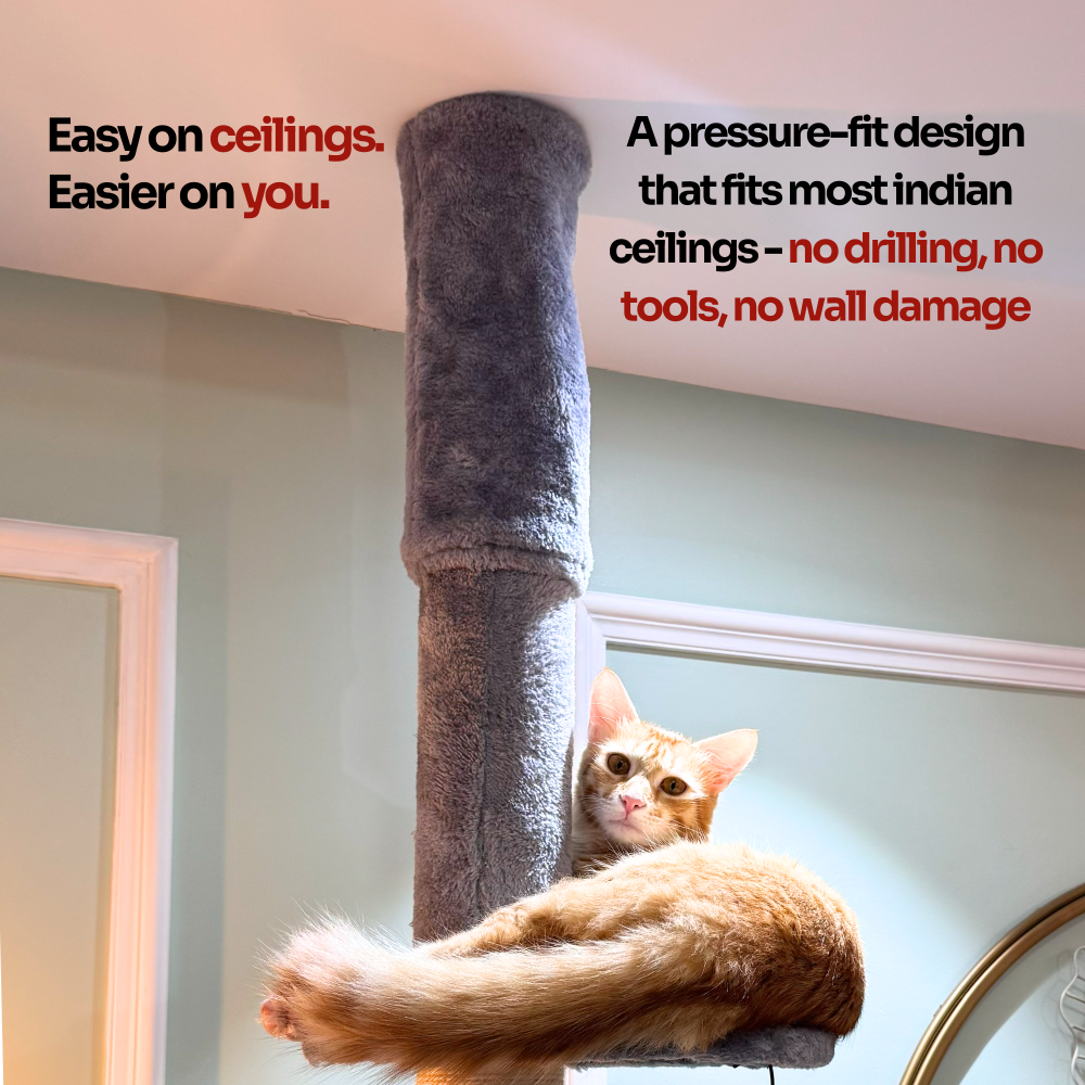 FurryLiving Sora Adjustable Floor to Ceiling with Scratching Posts, Condo and Hanging Toy Cat Tree