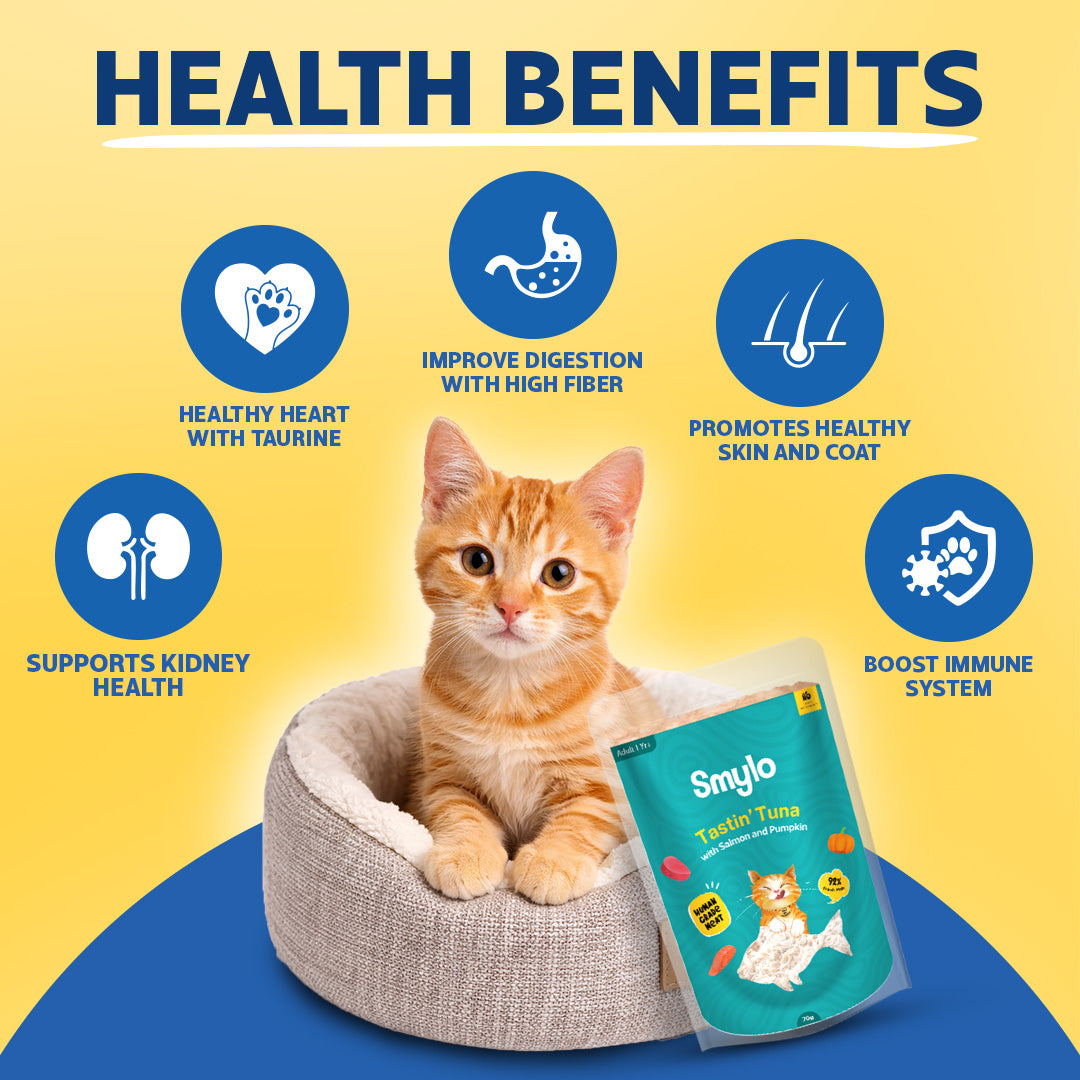 Smylo Adult Variety Combo, Tuna, Chicken & Mackerel, Fresh & No-Preservative Wet Cat Food